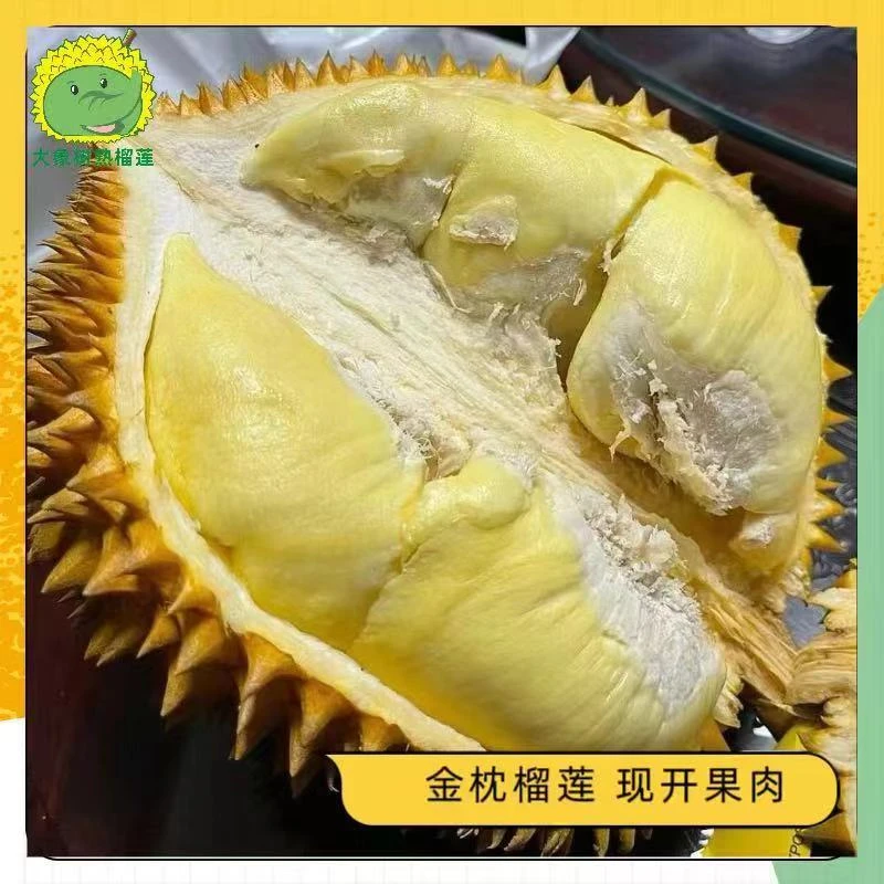 【欢乐海岸】纯果肉（2斤） 金枕榴莲 新鲜现开 深圳小时达【大象树熟榴莲】