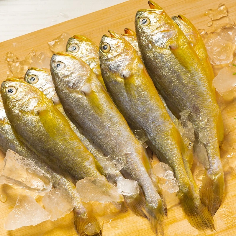 青岛深海野生【刺少肉多/入口鲜嫩】小黄花鱼【包鲜速冻】8-10条/斤
