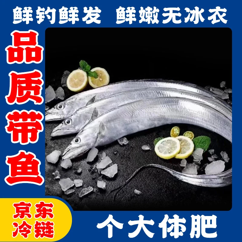【特大带鱼】7两左右/条青岛小眼钓带/码头直发新鲜深海鲜嫩美味