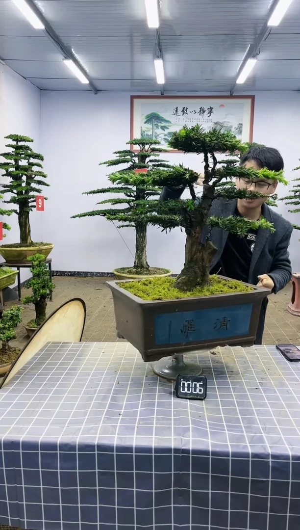 【闪购商品】一物一拍，所见即所得