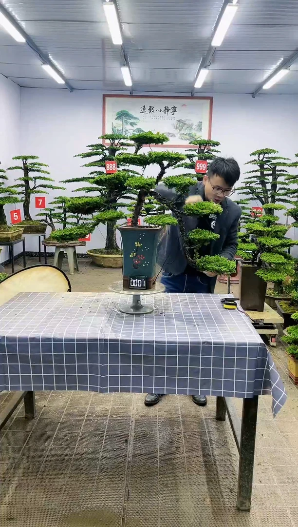 【闪购商品】一物一拍，所见即所得