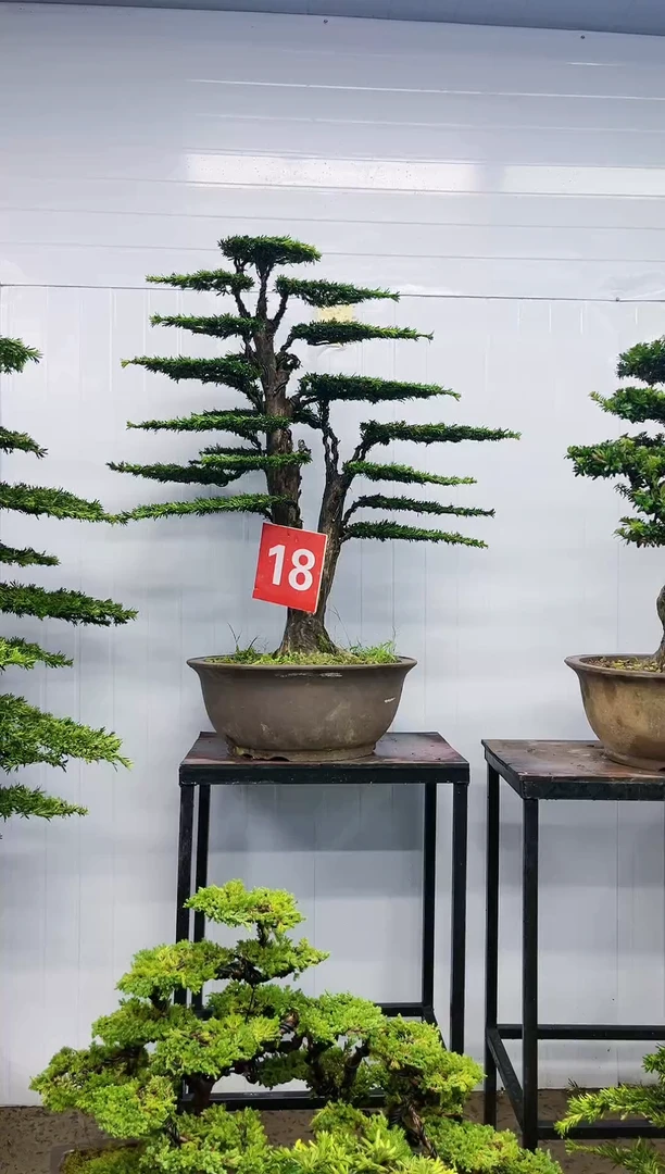 【闪购商品】一物一拍，所见即所得