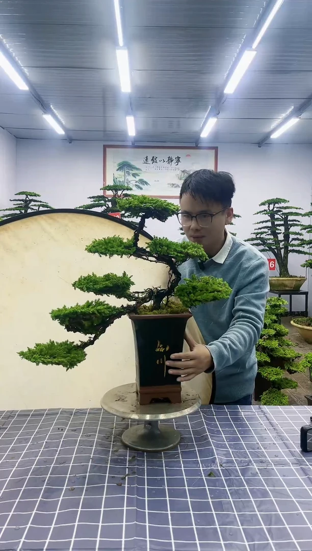 【闪购商品】一物一拍，所见即所得