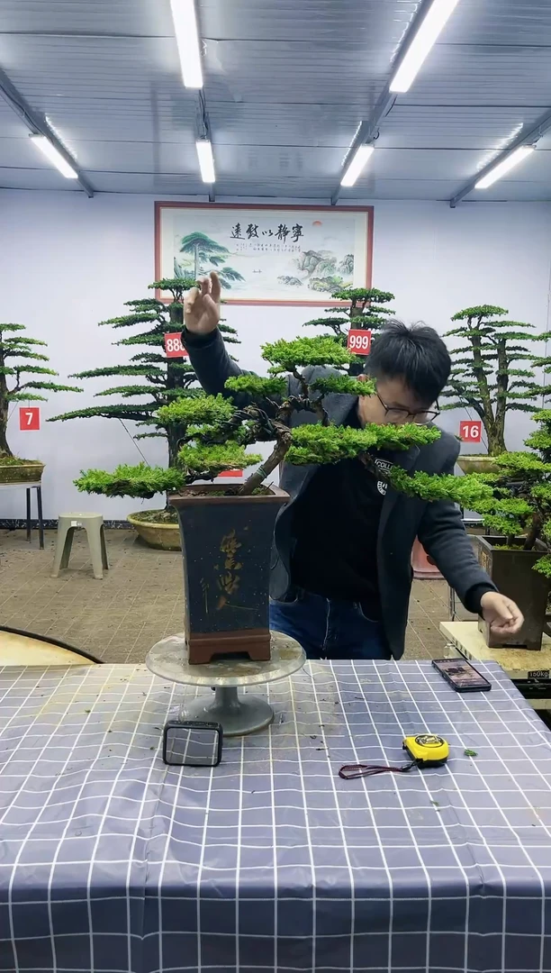 【闪购商品】一物一拍，所见即所得