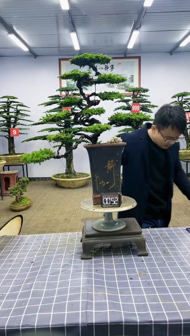 【闪购商品】一物一拍，所见即所得