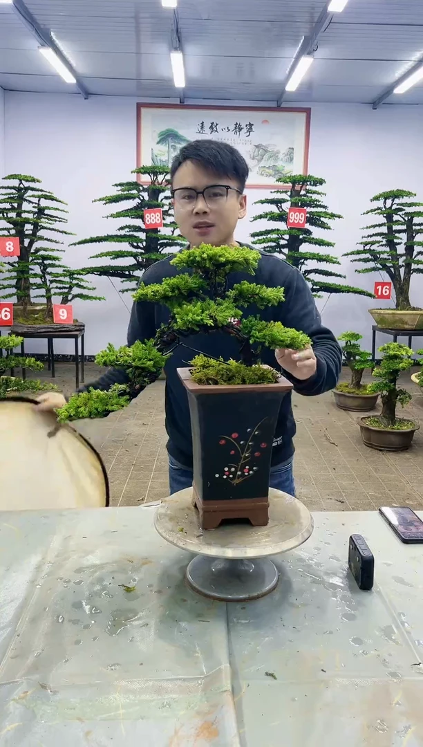 【闪购商品】一物一拍，所见即所得