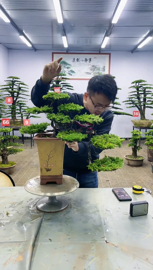 【闪购商品】一物一拍，所见即所得