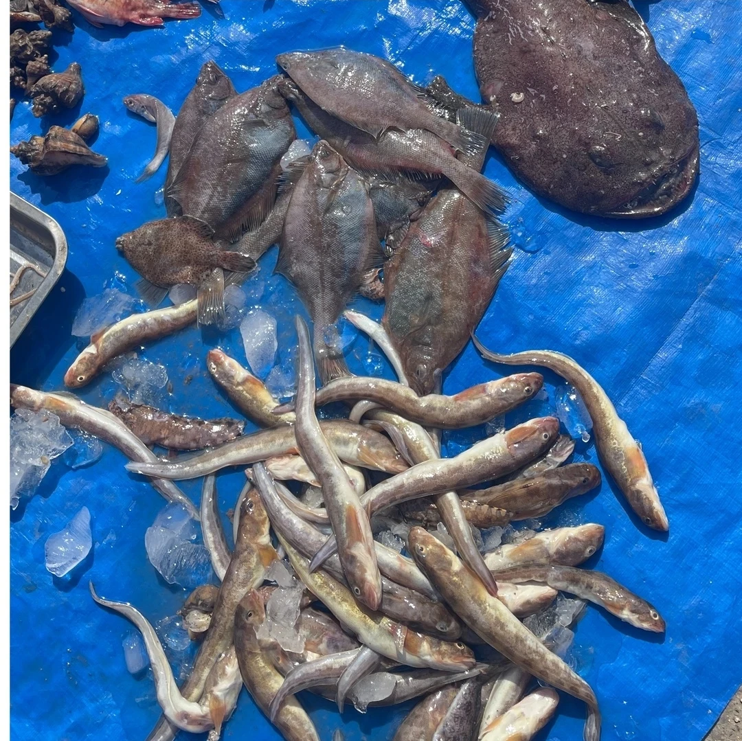 新鲜海鱼一份500g