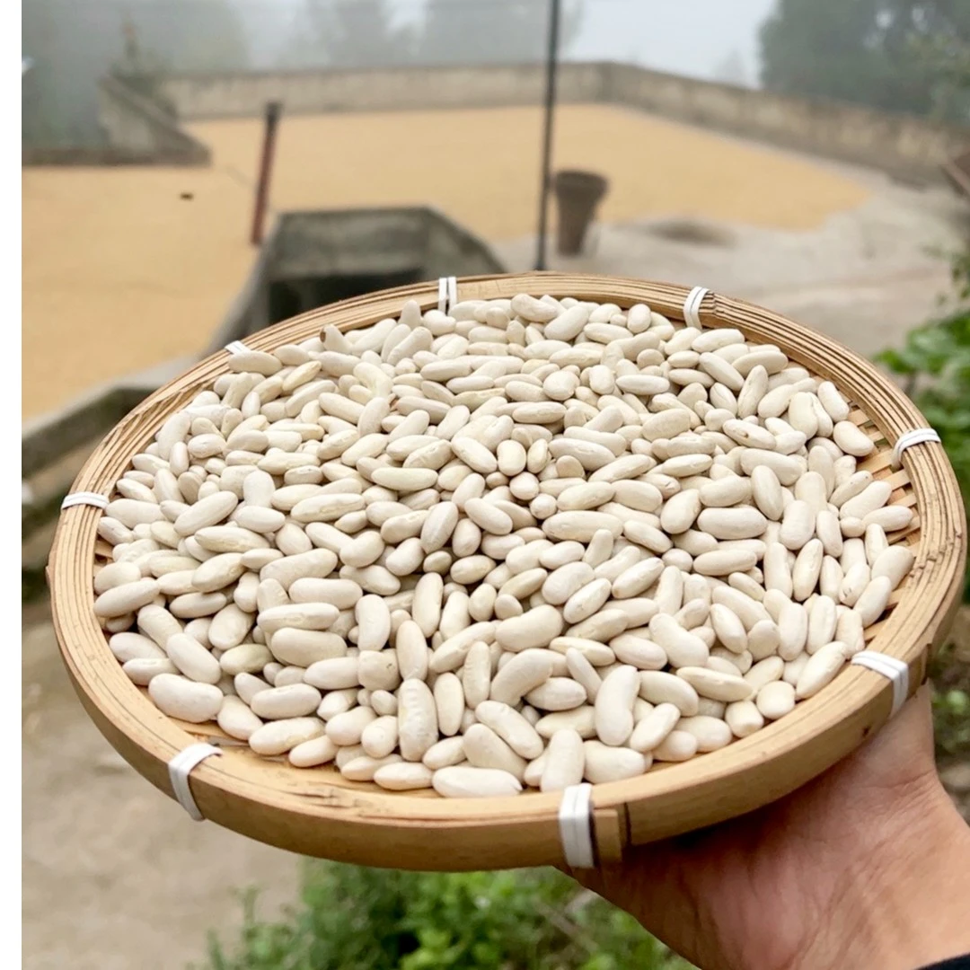 贵州农家白腰豆2斤 白豆 白芸豆 大白豆云南白腰豆