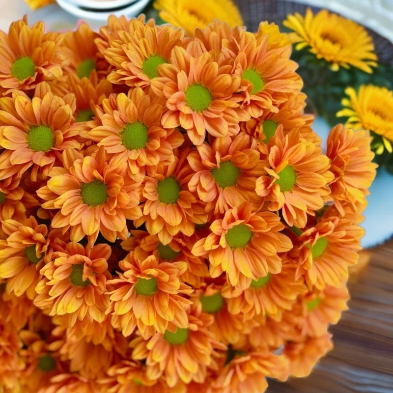 鲜切花汽水10支芍药鲜花牡丹菊康乃馨切花求婚花卉生日快递家用