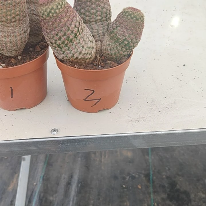 【闪购商品】33333