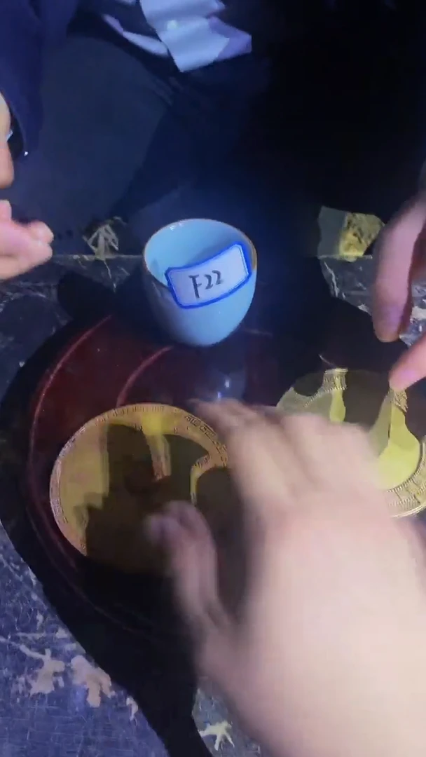 【闪购商品】陶瓷F22（不固定一件发）