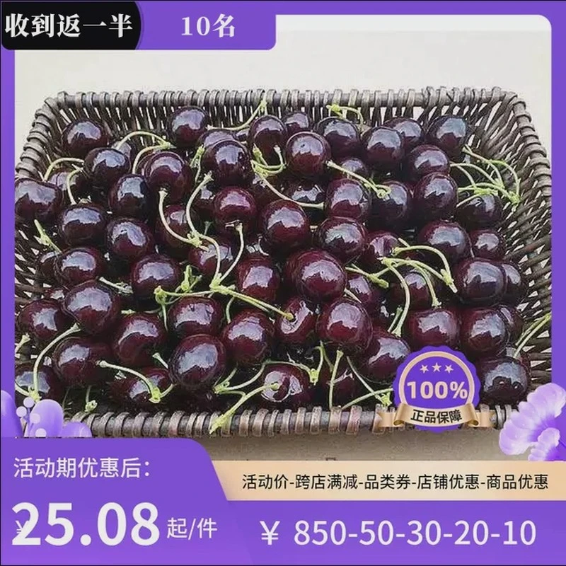 仿真水果模型假樱桃车厘子仿真.车厘子樱桃泡沫装饰假车厘子