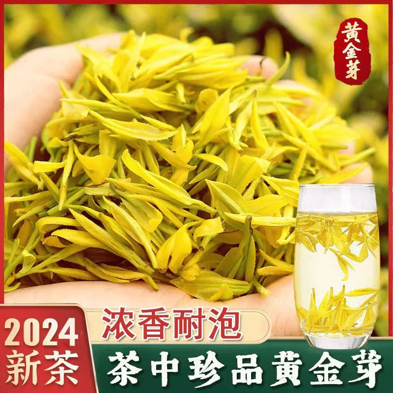 【24年爆款黄金芽】明前春茶嫩芽嫩叶高山黄金芽 豆香浓郁回甘耐泡