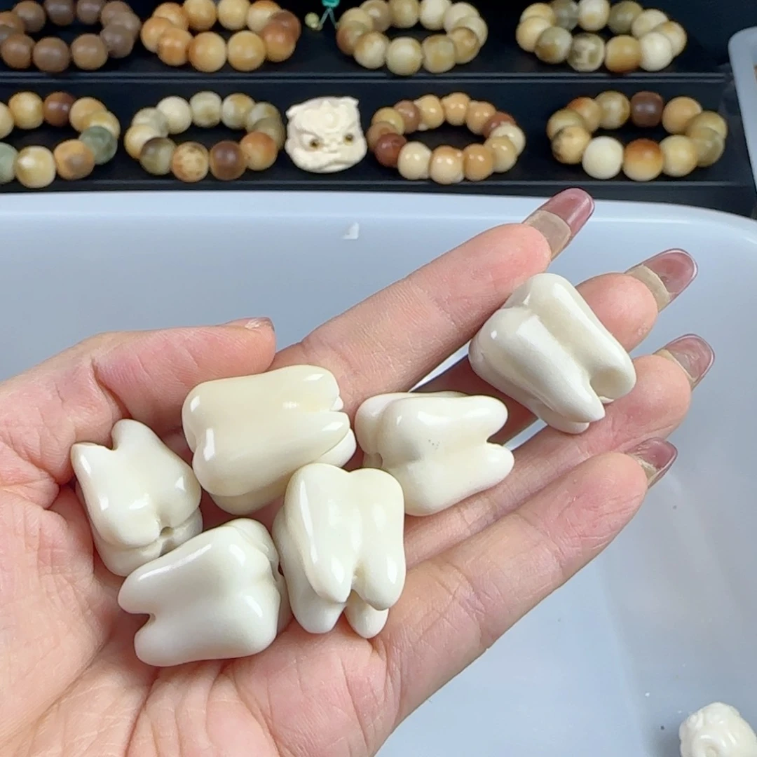 菩提根/象牙果吊坠瑕疵象牙果牙2颗