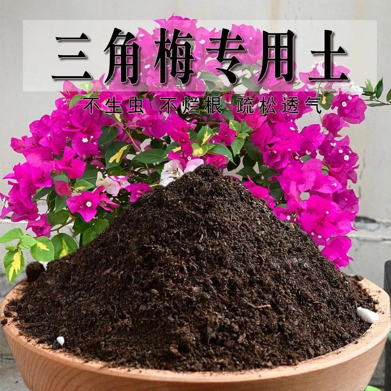 三角梅专用土养花种花专用土酸性土壤三角梅营养土种植土有机肥料