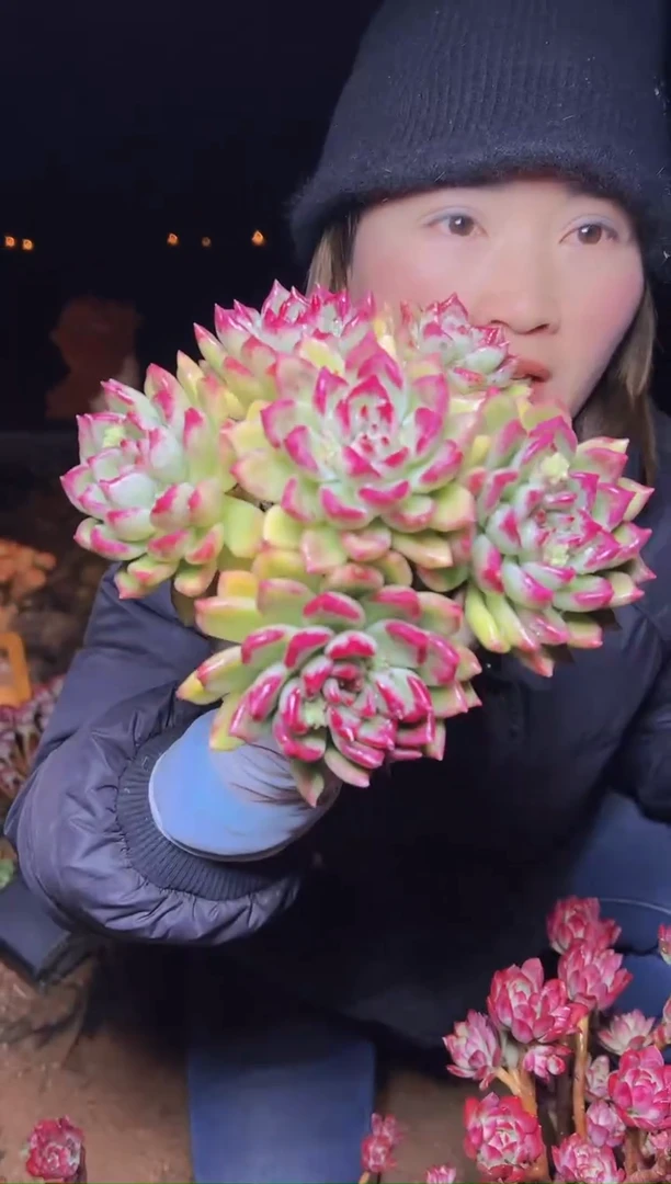 【闪购商品】地栽外播油漆桶