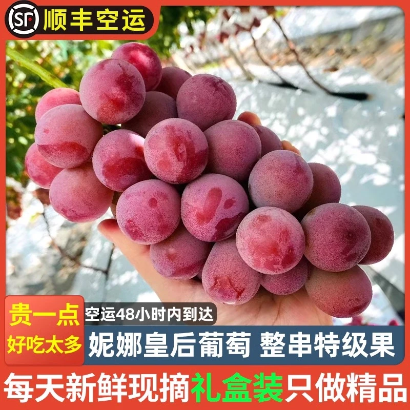 【顺丰空运】妮娜葡萄肉厚新鲜水果多汁无籽提子红宝石女王整箱包邮