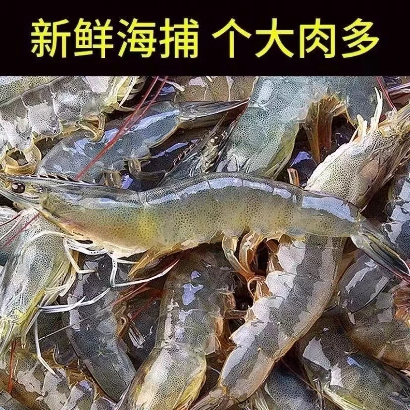 【冰鲜基围虾】500g  小时到家