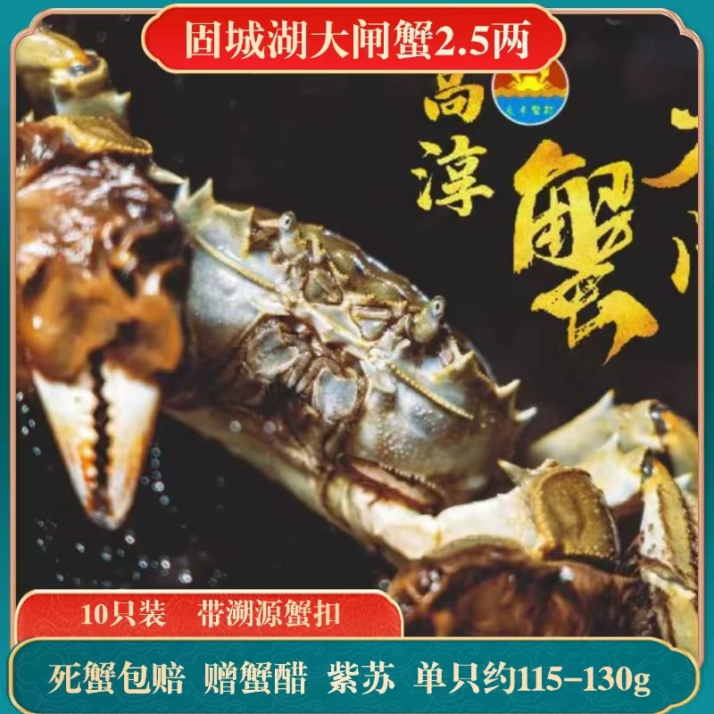 固城湖2.5母活大闸蟹 10只现货 无礼盒 小时到家