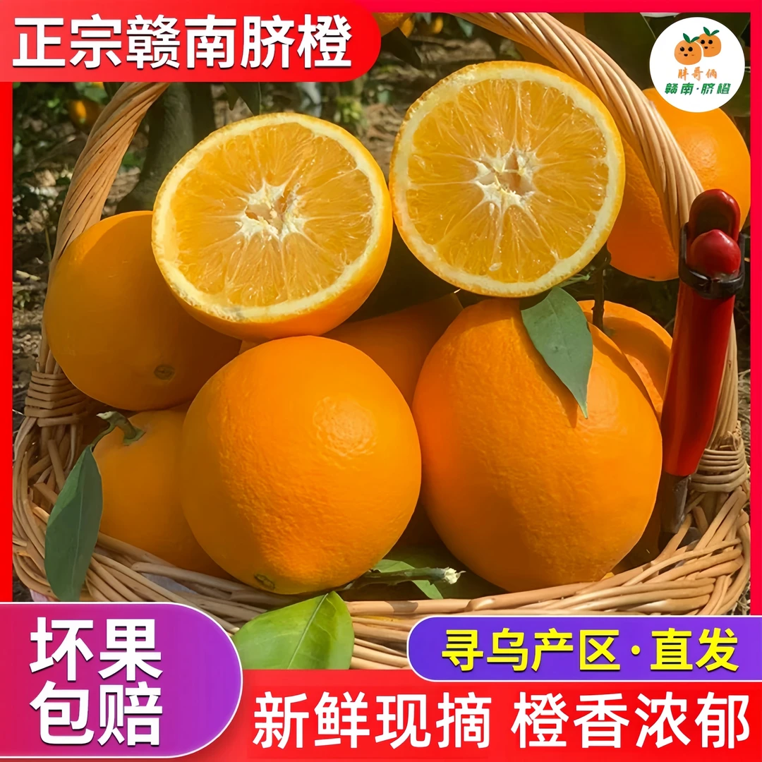 星光行动寻乌新鲜赣南脐橙应季水果橙子坏果包赔皮薄正宗原产地