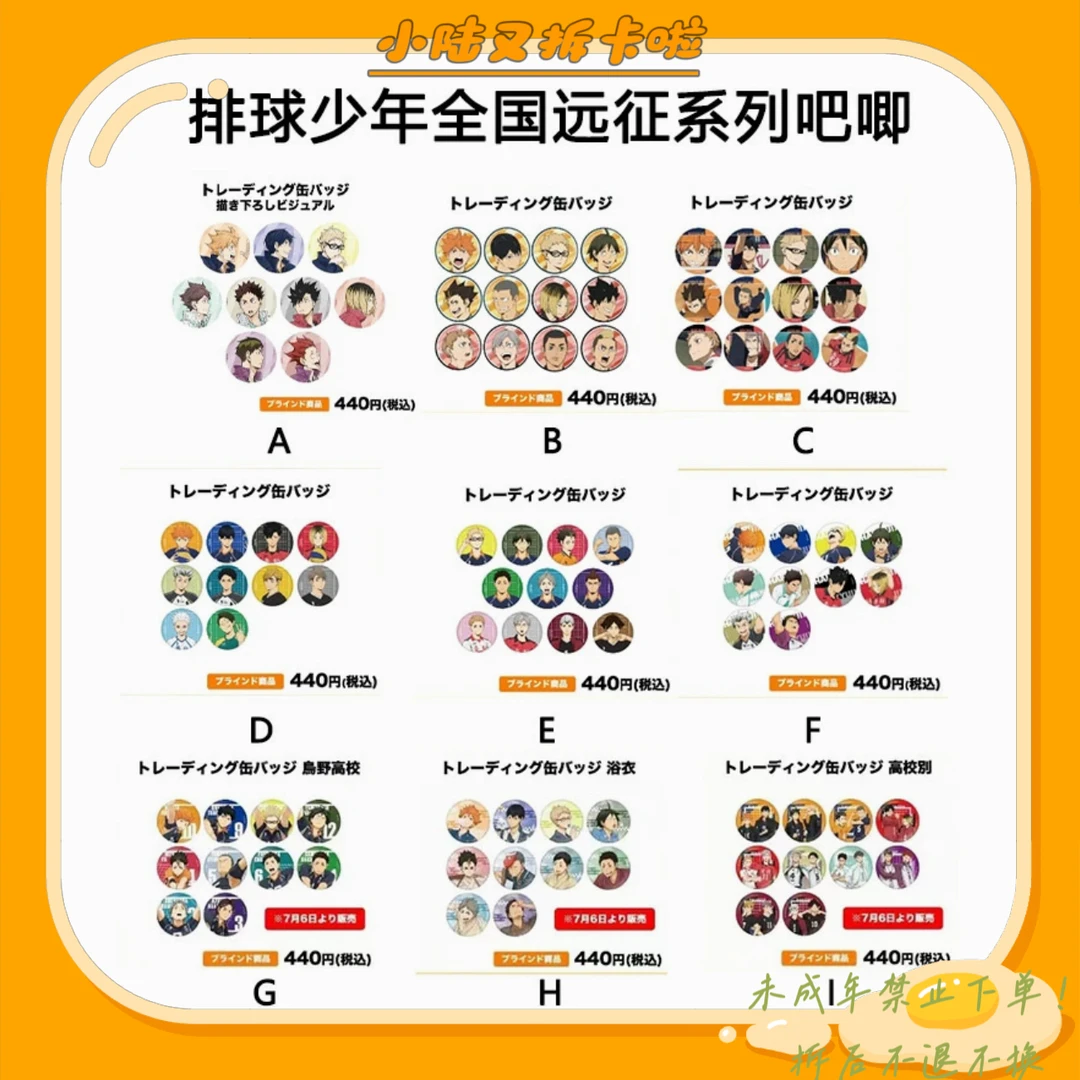 【排球少年】远征系列吧唧徽章（盲盒代拆）