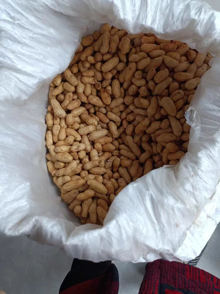 天府花生，自然凉晒，高山种植，手工精选特级货