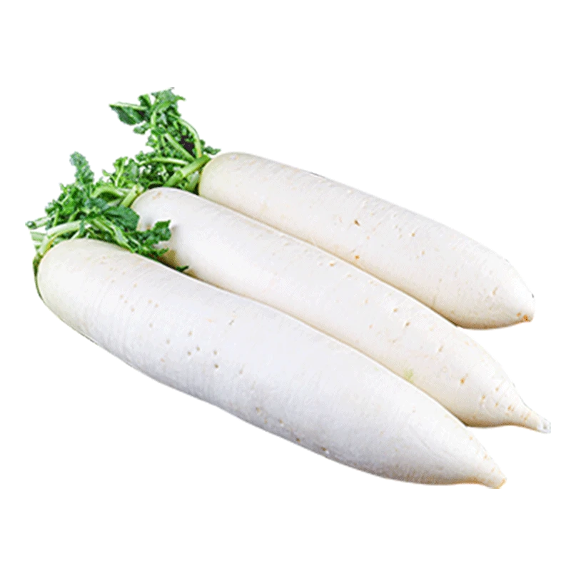 新鲜白萝卜白产地直发 皮甜脆爽口水果萝卜农家自种腌菜泡菜萝卜