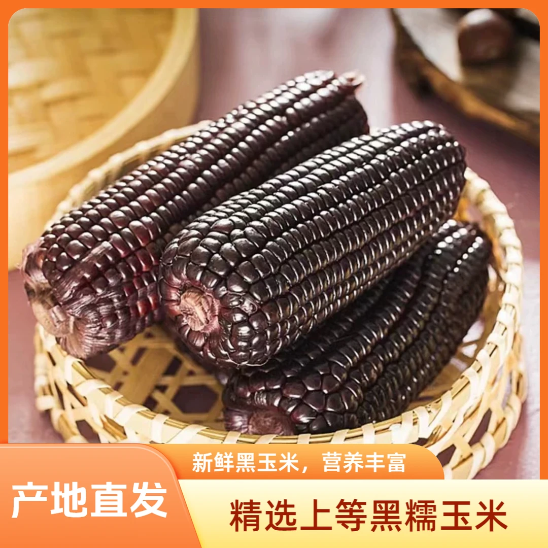 【福利】2024年正宗东北糯玉米甜糯玉米黑糯玉米新鲜东北粘糯玉米