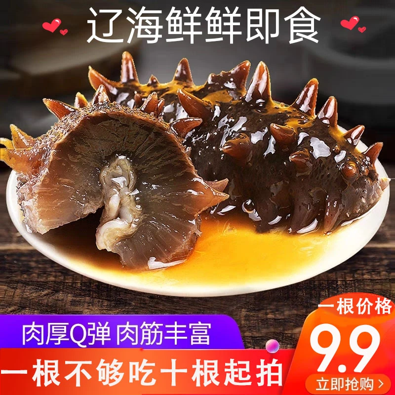 【一根9.9卖完好过年】营养新鲜大连深海辽刺参 25g/根左右1
