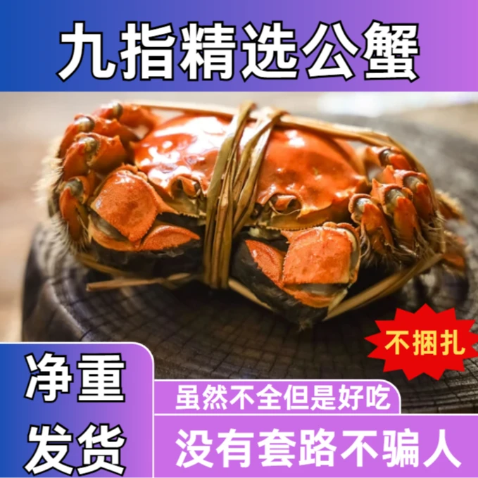 【自吃】九指全公蟹3.9-4.2两公 9/10只大闸蟹精选养殖活蟹介意勿拍
