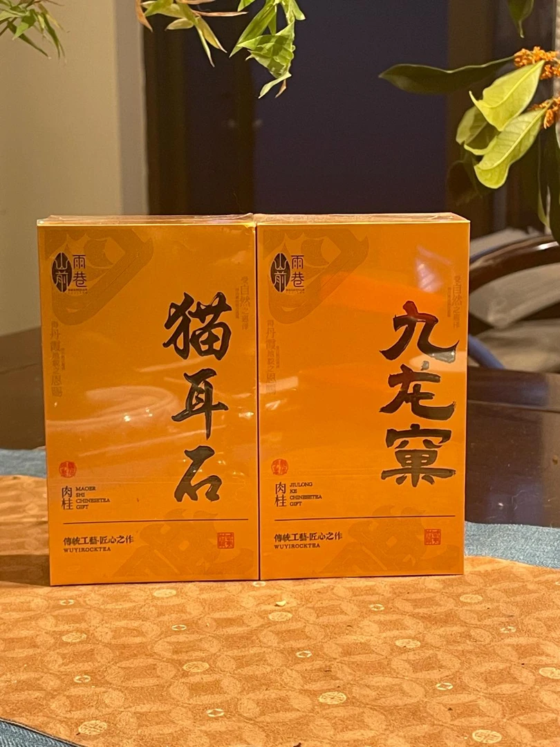 武夷山正岩核心猫儿石九龙窠果香蜜桃大桂皮味肉桂VIP高端品鉴装