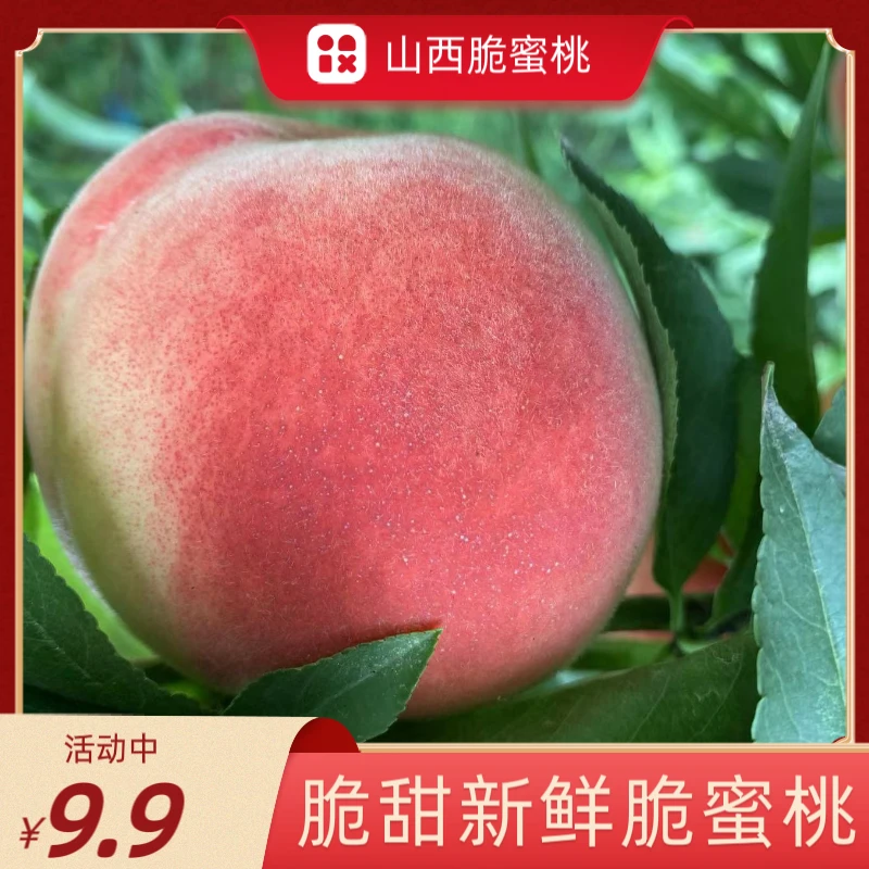 【5斤装】山西蜜脆桃应季水果脆甜水果新鲜桃子清脆爽口肉厚香甜