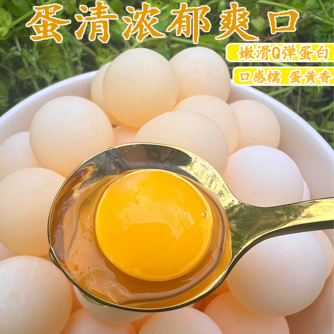 120枚甲鱼蛋新鲜土甲鱼蛋