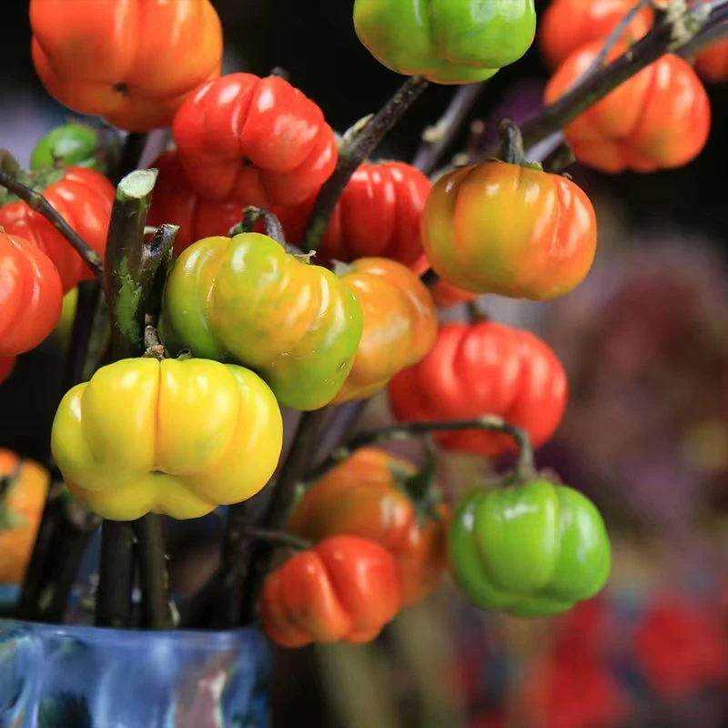 高端稀缺鲜切花可做干花居家摆件轻奢装饰