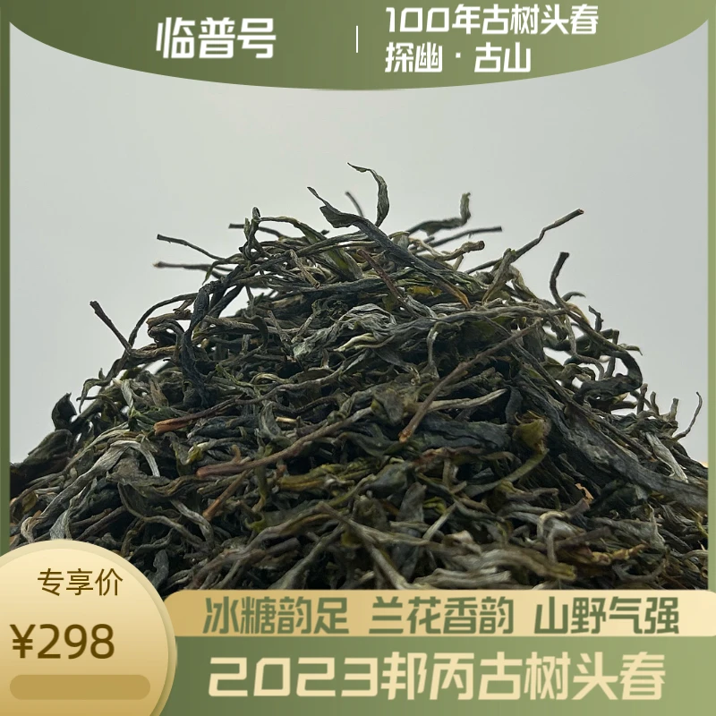 【新粉特惠】临沧·邦丙古树头春汤甜水柔兰花香韵普洱生茶冰糖甜