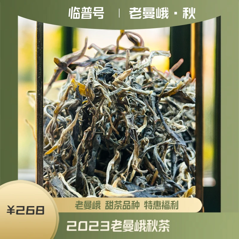 秋茶口粮福利尝鲜！老曼峨2023大树老乔木秋茶