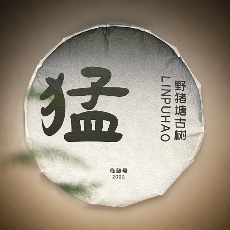 【野猪塘·古树】2020头春普洱生茶回甘猛茶味厚尾水甜
