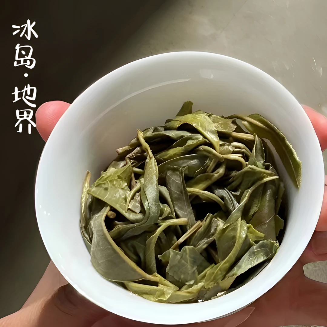 冰岛·地界·2024古树纯料普洱生茶甜橙香兰花香冰糖甜