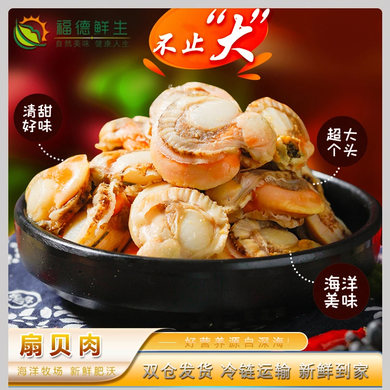 超大号冷冻扇贝肉 带黄带膏鲜嫩多汁新鲜肥美吃货福利3斤每盒保鲜