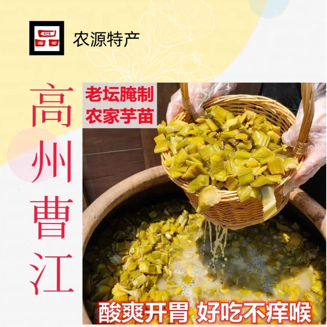 品乡荟正宗茂名高州芋苗酸原味新鲜芋苗酸蔬菜500g农家传统工艺