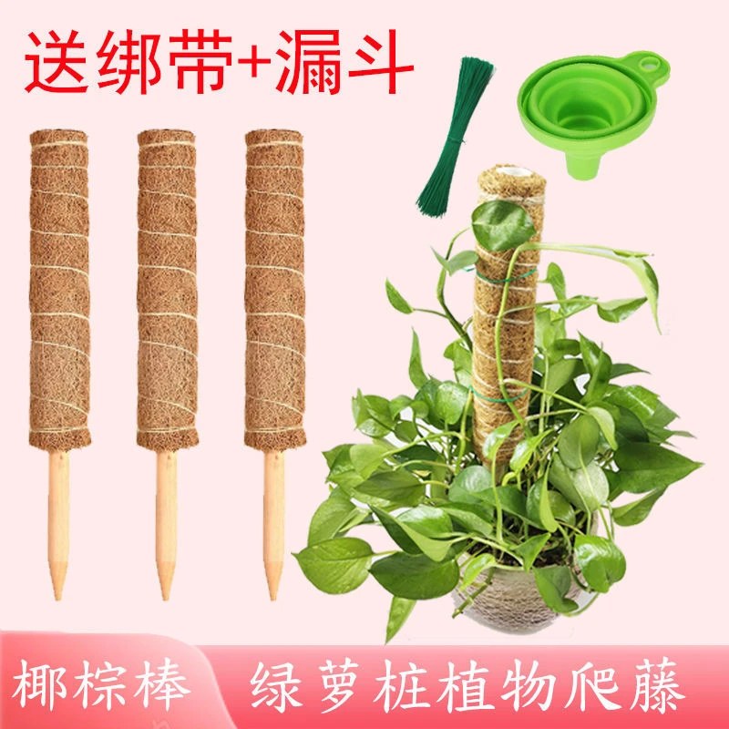 绿萝爬藤杆龟背竹支撑柱大叶固定架植物花卉椰棕棒攀爬架苔藓支撑