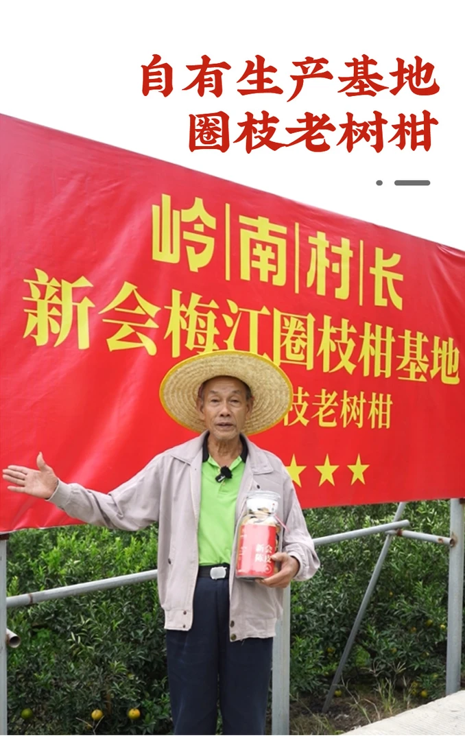 【2007年老陈皮】正宗地道新会产区干仓圈枝严选老陈皮250g礼盒装