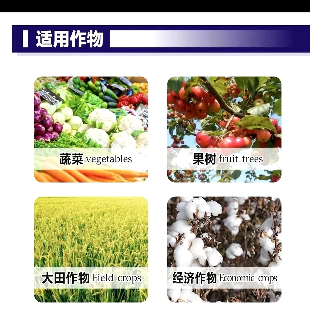 各种作物青虫肉虫草地贪夜蛾