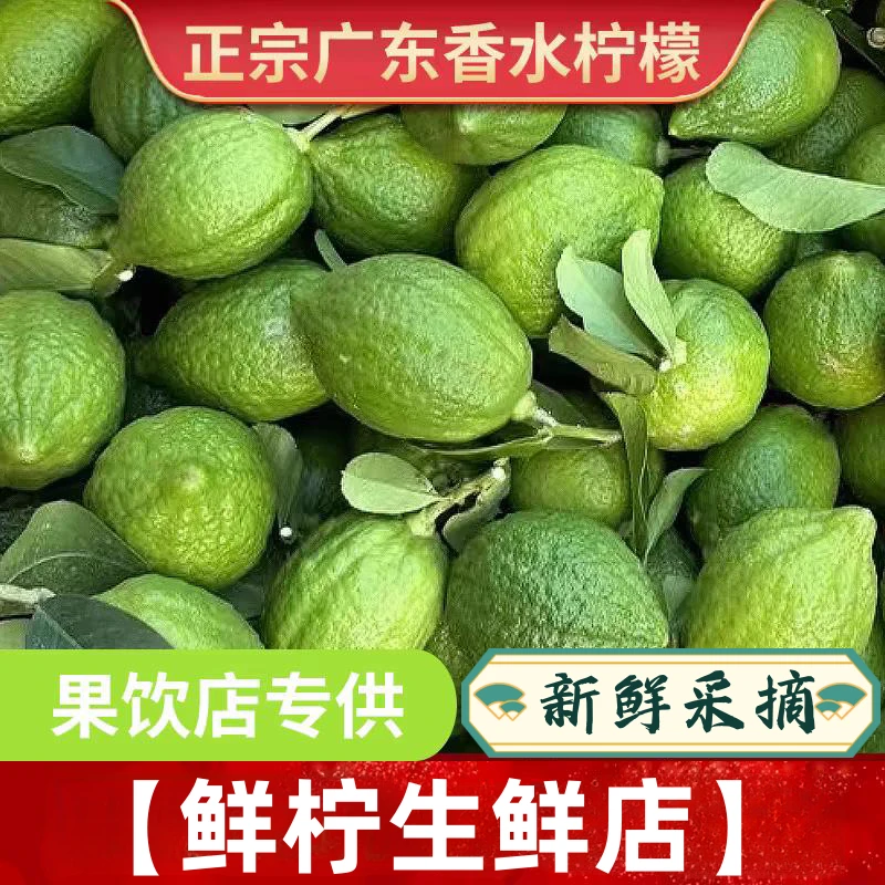 【鲜柠生鲜】正宗广东香水柠檬新鲜采摘奶茶柠檬茶店专用果3斤10斤