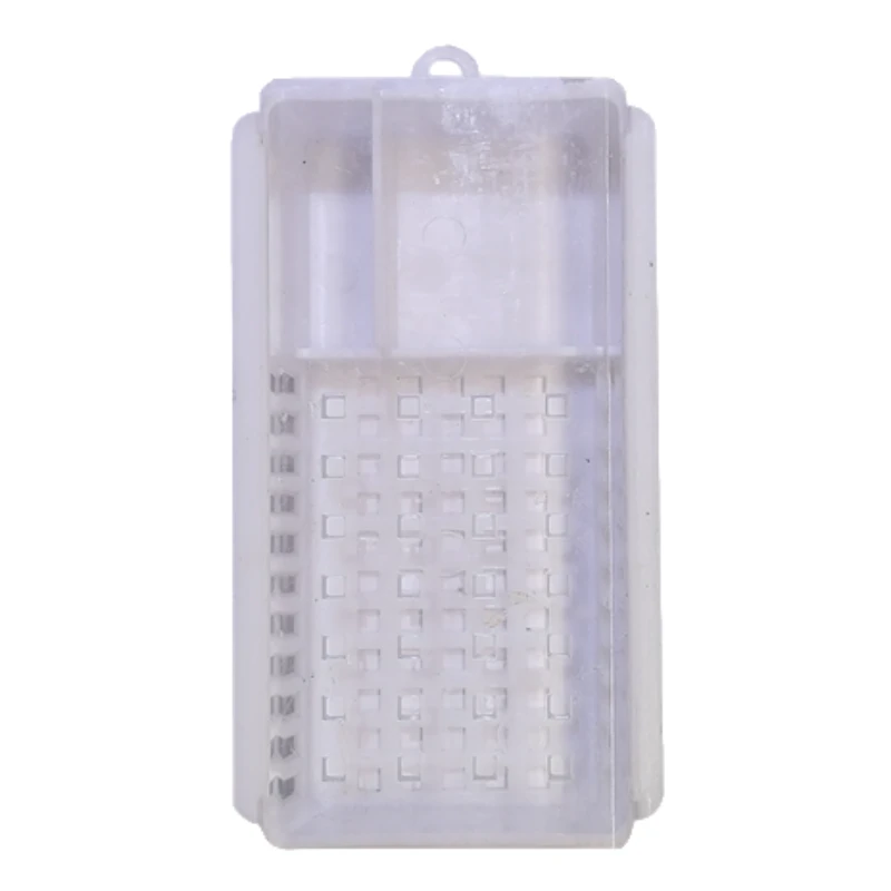 中蜂阿坝开产王处女王自然交尾