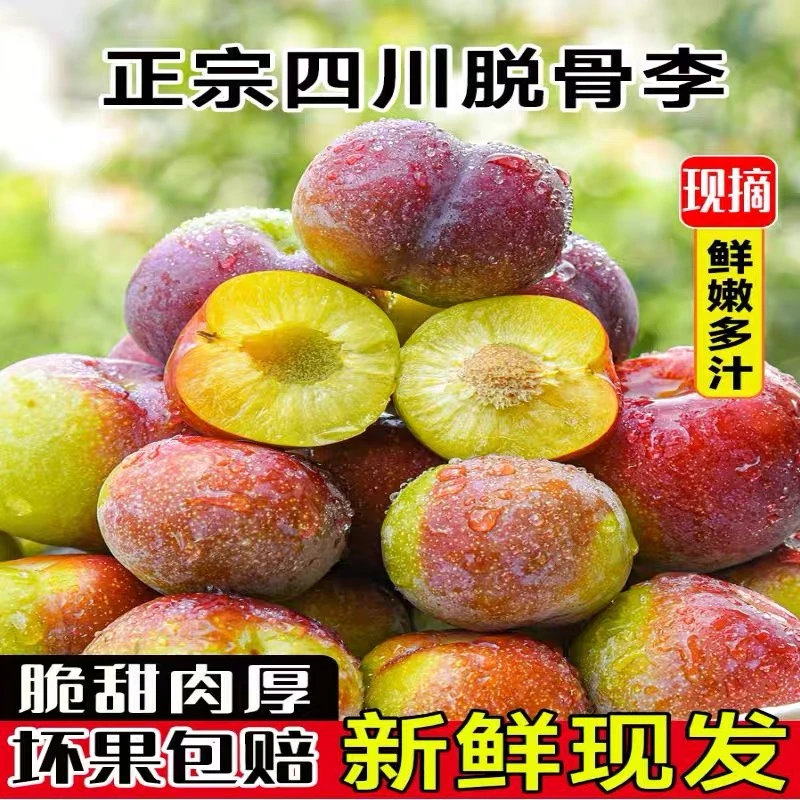 J四川半边红脆甜李子现摘现发坏果包赔新鲜水果5斤正宗肉厚鲜嫩
