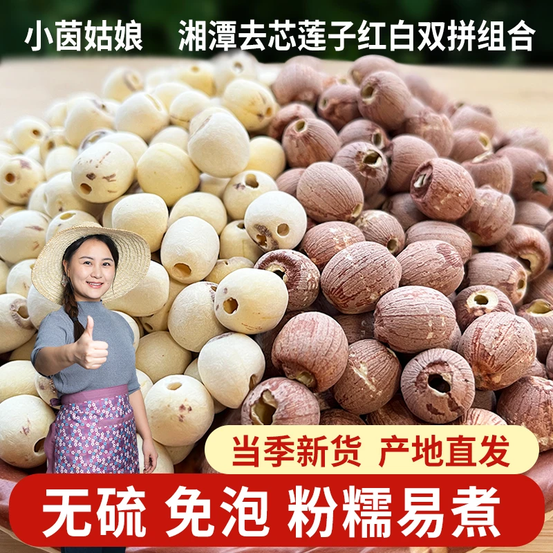 小茵姑娘去心白莲/红莲各1斤无硫煲汤营养正宗干货湘莲特产煮粥