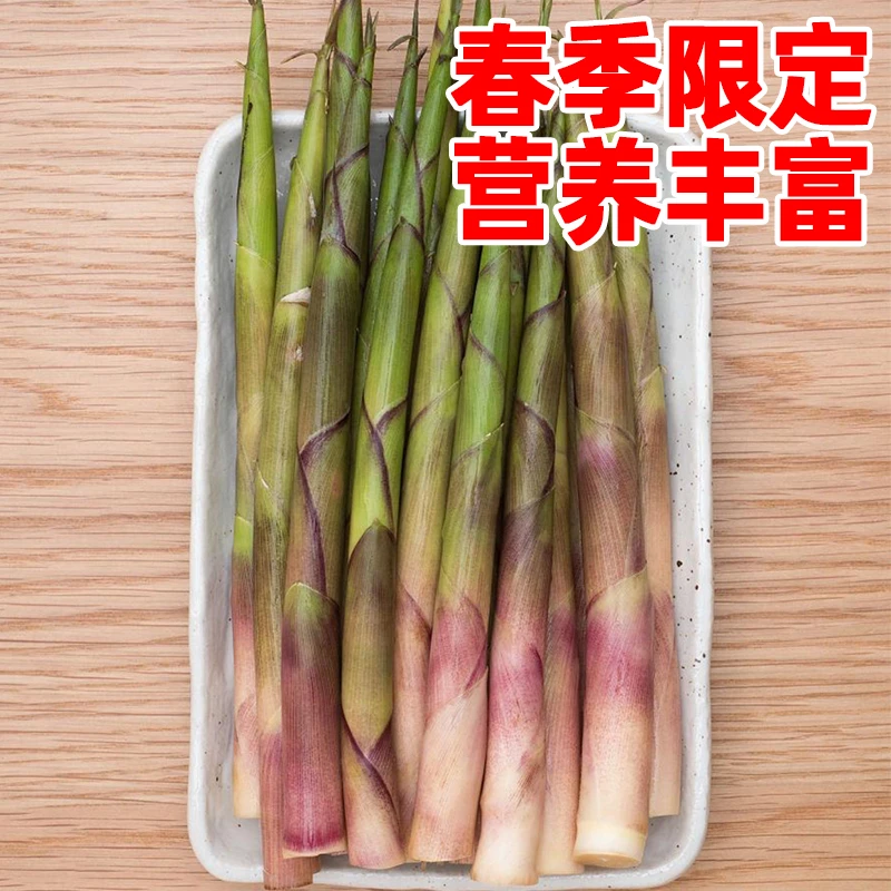 野生小竹笋新鲜带壳手剥春笋深山现挖水竹笋脆嫩小笋甜笋营养丰富