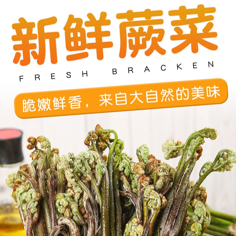 湖南野生蕨菜新鲜蔬菜现摘下饭菜当季天然野地菜山撅菜青厥菜